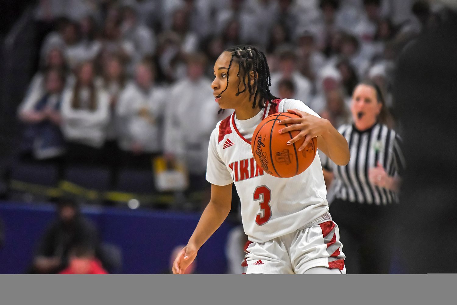 Princeton vs Olmsted Falls girls basketball state championship Michael Noyes68
